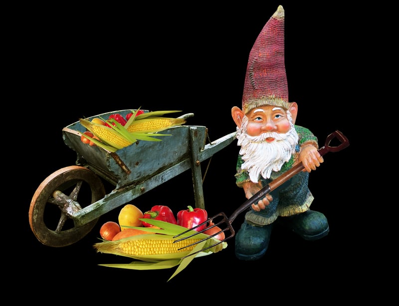 Gnome Gardening Wisdom